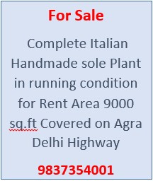 Plant for sale
